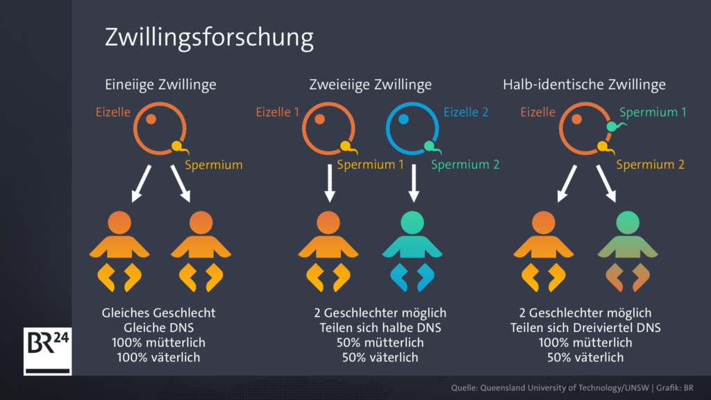 Veranschaulichung halbidentische Zwillinge