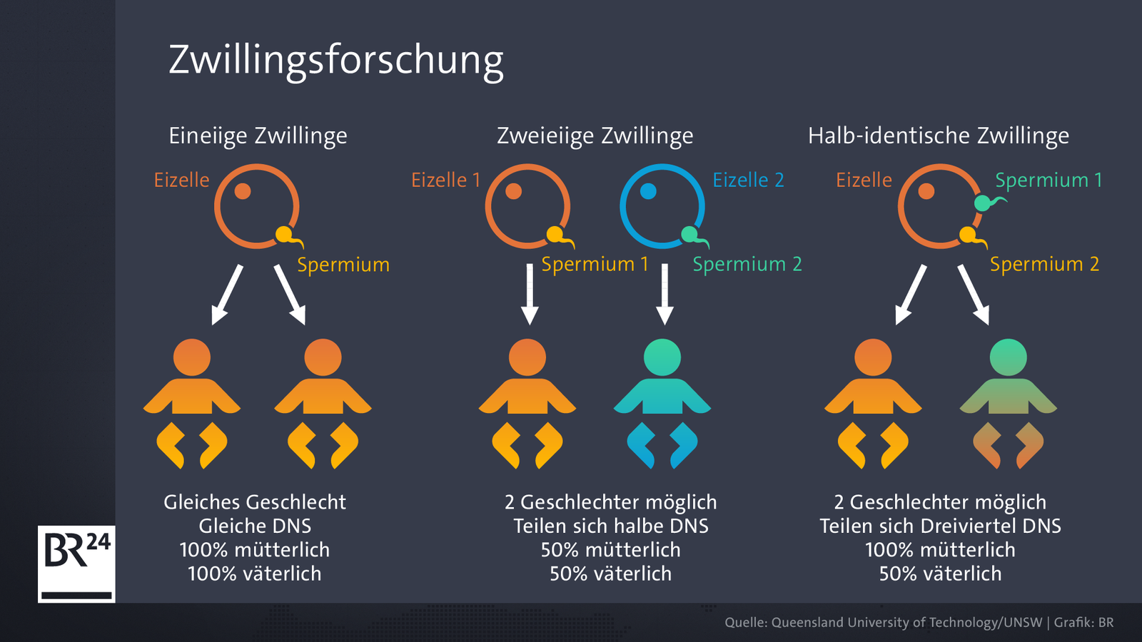 Unterschied Eineiige Und Zweieiige Zwillinge www.es-sind-zwei.de