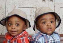 5 Tipps wie Du die Sprachentwicklung Deiner Zwillinge fördern kannst Zwillingsbrüder Sprachentwicklung