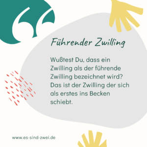 www.es-sind-zwei.de DAS Zwillingsportal Zwillingswissen führender Zwilling