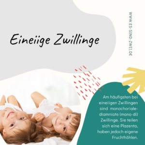 eineiige Zwillinge