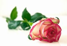 Gewalt unter der Geburt: Ein Erfahrungsbericht