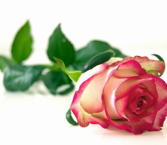 Gewalt unter der Geburt: Ein Erfahrungsbericht