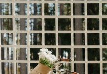 Unterwegs mit Zwillingen auf zwei Rädern Unterwegs mit Zwillingen auf zwei Rädern- Es sind zwei DAS Zwillingsportal