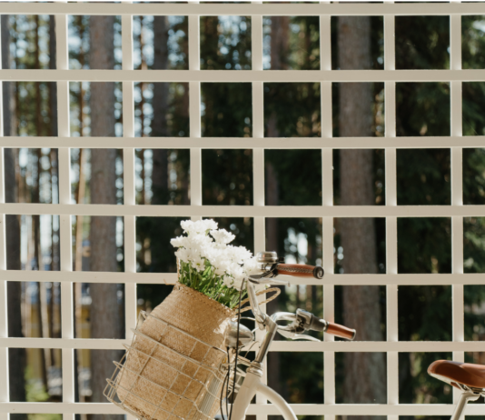 Unterwegs mit Zwillingen auf zwei Rädern Unterwegs mit Zwillingen auf zwei Rädern- Es sind zwei DAS Zwillingsportal