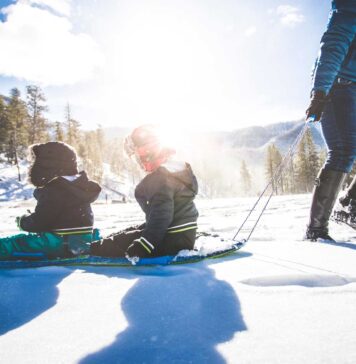 Winterspaß mit einem Zwillingsschlitten www.es-sind-zwei.de DAS Zwillingsportal Winterspaß mit einem Zwillingsschlitten