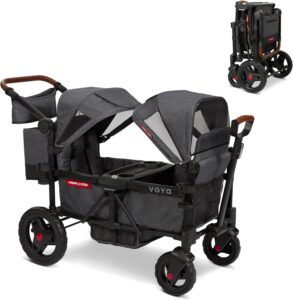 Bollerwagen für Zwillinge