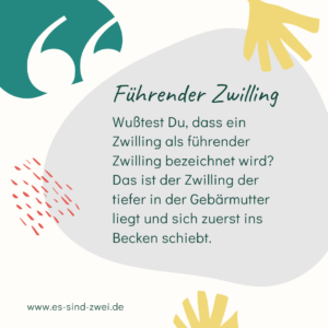 www.es-sind-zwei.de DAS Zwillingsportal führender Zwilling