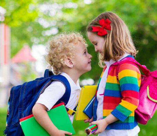 Einschulung im Doppelpack- oder der Schulwahnsinn mit Zwillingen beginnt www.es-sind-zwei.de DAS Zwillingsportal