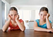 Zwillinge allein zu Haus – über Zwillingsdynamiken und Zwiespalte www.es-sind-zwei.de DAS Zwillingsportal Zwillinge allein zu Haus