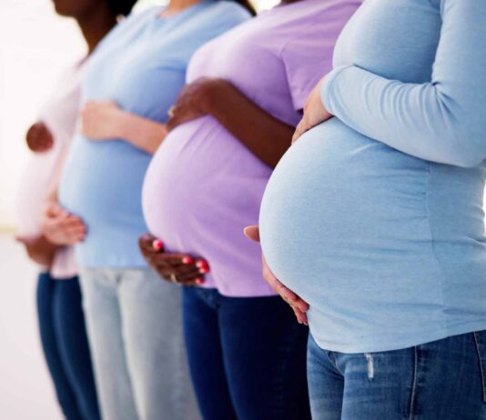 Wie Umwelt und Gene die Gehirnentwicklung formen www.es-sind-zwei.de DAS Zwillingsportal Wie Umwelt und Gene die Gehirnentwicklung formen