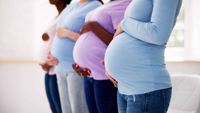 www.es-sind-zwei.de DAS Zwillingsportal Wie Umwelt und Gene die Gehirnentwicklung formen