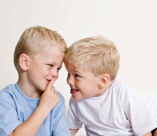 Soziale und emotionale Entwicklung von Zwillingen www.es-sind-zwei.de DAS Zwillingsportal Entwicklung von Zwillingen