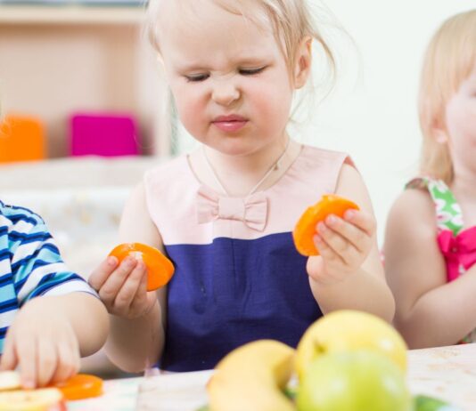 Pflanzenbasierte Ernährung bei Zwillingen www.es-sind-zwei.de DAS Zwillingsportal pflanzenbasierte Ernährung bei Zwillingen